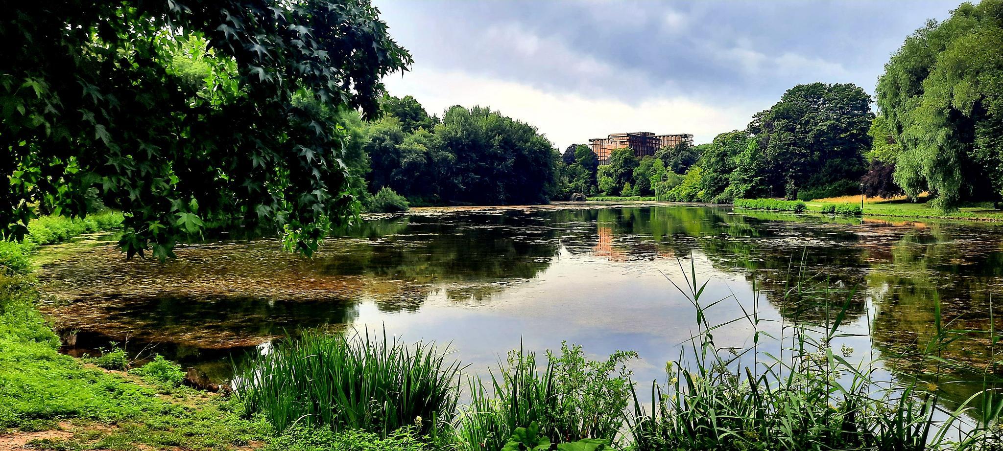 Sites Natura2000 : Bruxelles renforce la protection de ses habitats naturels